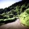 Winding Road