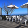 絶景CAFE