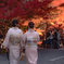 紅葉と着物のおねいさん