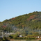 少しだけ紅葉と新幹線