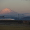 紅富士と新幹線