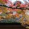 九年庵（秋の一般公開）②
