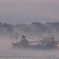瀬戸内の海霧 (2) 251201-064
