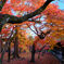 DSCF9995東福寺散り紅葉