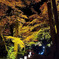 石山寺｢あらた夜もみじ｣