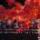 紅葉の達磨寺