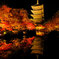 東寺ライトアップ