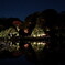 六義園ライトアップ 2025