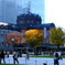 東京駅と紅葉