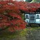 お堂と紅葉　。。。！