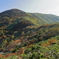 紅葉の山