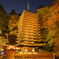 談山神社/ライトアップ