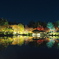 紅葉の夜の日本庭園