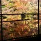 京都　瑠璃光院　紅葉