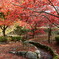 滋賀　石道寺　紅葉