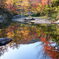 水鏡映る秋