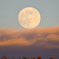 ある日の月