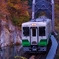 紅葉の第４橋梁を往く東北色のキハ110