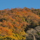 紅葉する吾妻山