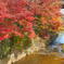 川沿いの紅葉