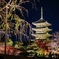 東寺　秋の夜
