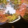 普門寺の紅葉