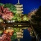 東寺　秋のライトアップ