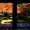京紅葉2025＿槙尾・西明寺03　本堂から
