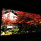 京紅葉2025＿槙尾・西明寺04