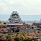 ラスト紅葉の大阪城