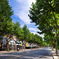 P1040654-edit