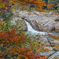 紅葉と水の流れ