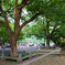 P1040179-edit