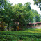 P1040397