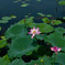 P1040437