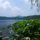 P1040467-edit