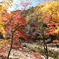 香嵐渓の紅葉１３