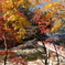 香嵐渓の紅葉１４