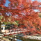 香嵐渓の紅葉２０