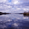 水面に雲が映る