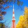 Autumn color Tokyo