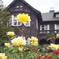 薔薇園