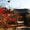 玉城　広泰寺　紅葉