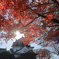 岡崎城と紅葉