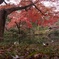 秋の庭園