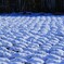 雪のプチプチ