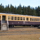 古典車両　蒲原鉄道モハ6１型