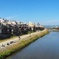 鴨川のよく見る光景