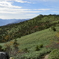 苗場山の紅葉