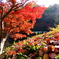 紅葉渓庭園